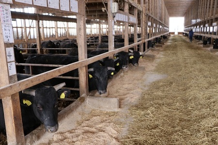 【冷凍】最上牛焼肉用スライス350g