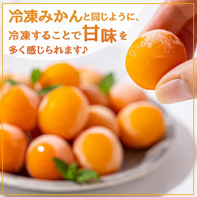 天然のシャーベット! 丸かじり氷結きんかん〔AA-B502〕_(都城市) 都城産 完熟きんかん きんかん 冷凍きんかん 急速冷凍