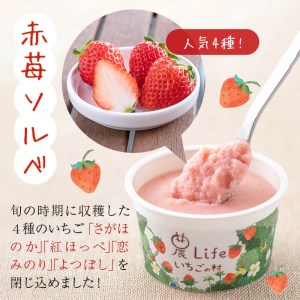 a5-218 いちご農家がつくった淡雪と赤苺のソルベ 計10個(2種・各5個入)