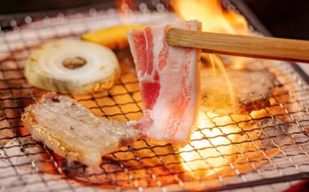 宮崎県産豚バラ焼肉 1.5kg 　TF0547-P00043