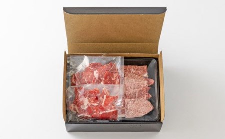 宮崎牛赤身焼肉（ウデまたはモモ）800g＆黒毛和牛小間切れ 200g　TF0545-P00043