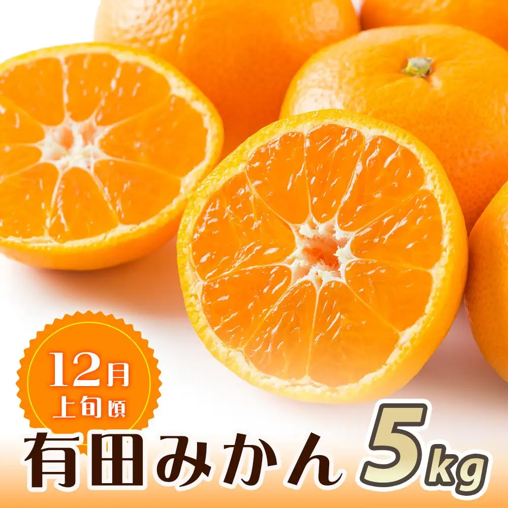 【魚鶴商店厳選】和歌山人気のフルーツ定期便（柿・みかん）【定期便全3回】【UT115】