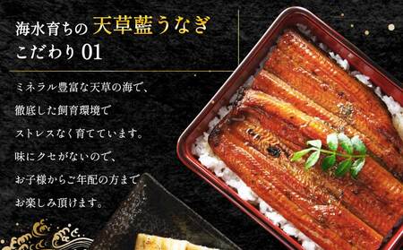 【ミシュラン1つ星店 採用】うなぎ 国産 紅白3-4尾セット600g 海水育ちの天草藍うなぎ