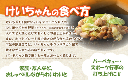 ケイちゃんお試しセット (塩・みそ) 計4個 鶏肉 けいちゃん 鶏肉 【21-3】