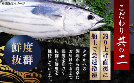 【最速発送】龍馬鰹たたき 約600g [ATAX001]　スピード 最短 最速 発送