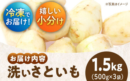 【冷凍】洗い 里芋 500g×3袋 里芋【10月上旬から順次発送】 [AGBN039]