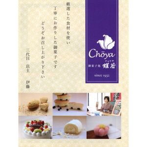 こだわりクリームの「生パイ」10個　008-G-CY001