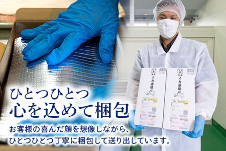 『先行予約』唐津呼子産いか活造り 1杯(約220g～250g) 急速冷凍 新鮮そのまま食卓へ！イカ 刺身 簡単 ギフト ※水揚げあり次第6月以降順次発送させていただきます。