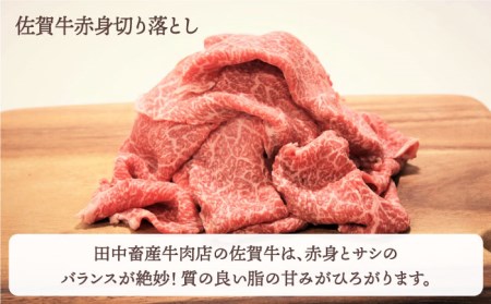 【全12回定期便】4人家族向け佐賀牛普段使いセットA HBH070