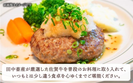 【全6回定期便】佐賀牛 ミンチ 500g [HBH101] 佐賀牛 ミンチ