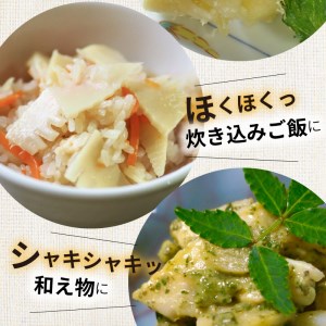 たけのこ水煮 200g×10袋 計2kg 国産  小分け パック 簡単調理 常温 グルメ 食品 食べ物 野菜 山の幸 山菜 株式会社大久保商店 宮崎県 延岡市 お取り寄せ 送料無料 N067-YA766