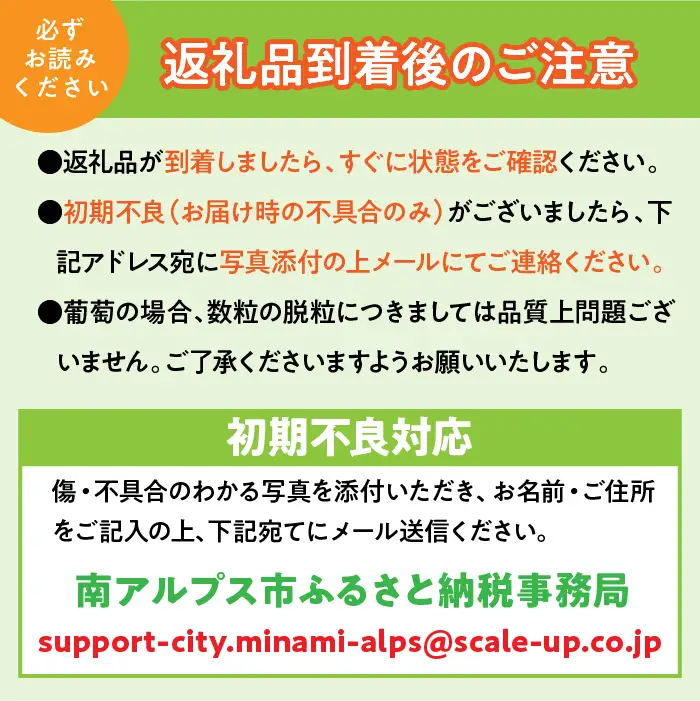 ＜2026年発送先行予約＞山梨県南アルプス市産 高級すもも 貴陽 約1.8ｋｇ 6～9玉入り ALPAH019