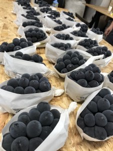 山田ぶどう園 ピオーネ 約2kg 3～4房 【先行予約 9月上旬から順次発送】