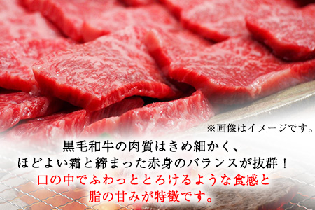 くまもと黒毛和牛 肩スライス（焼肉用） 800g 肉のみやべ 《90日以内に出荷予定(土日祝除く)》