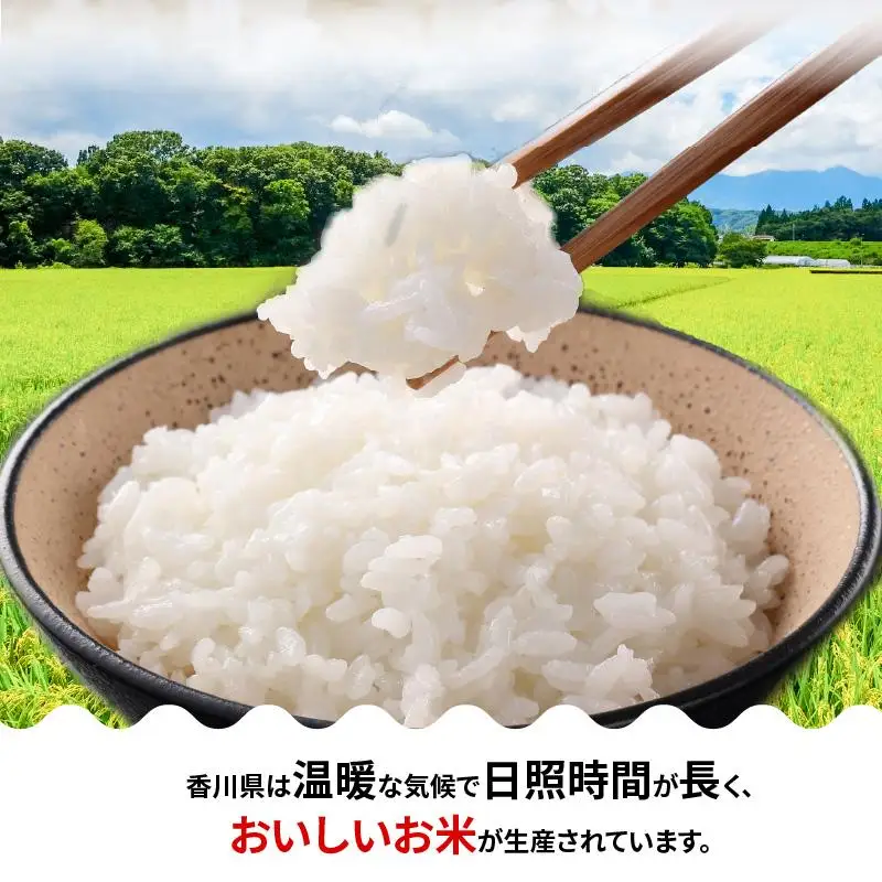 【6ヶ月定期便】計約30kg 偶数月 おいしいコシヒカリ約5kg