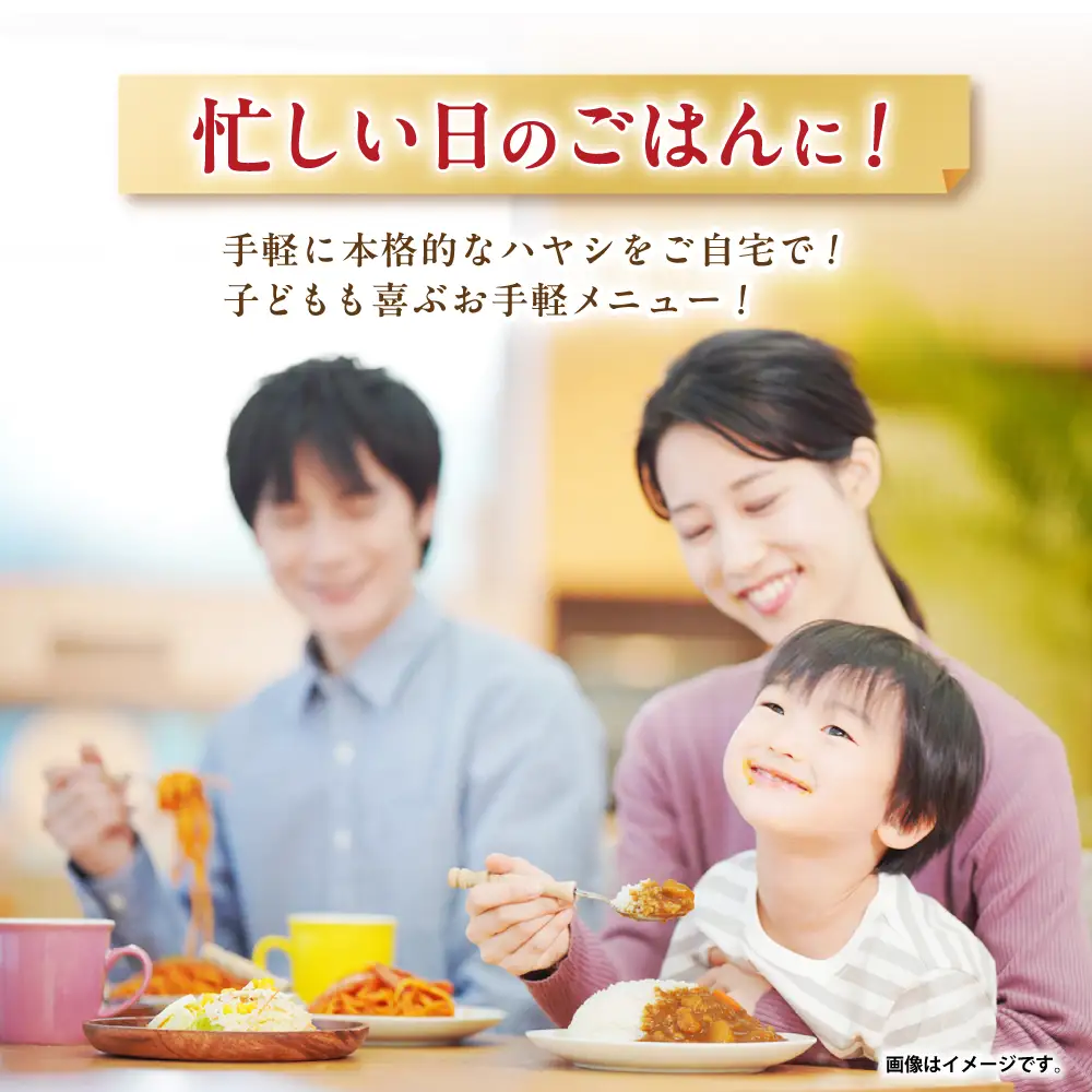 【小分け】【内袋のままレンジ調理可】日本ハム レストラン仕様ハヤシ10パックセット(1パック4袋入り)計40食分/ ハヤシ ハヤシライス カレー かれー レトルト 牛肉 小分け 長崎県 / 諫早市 / 日本ハムマーケティング株式会社 [AHAL005]