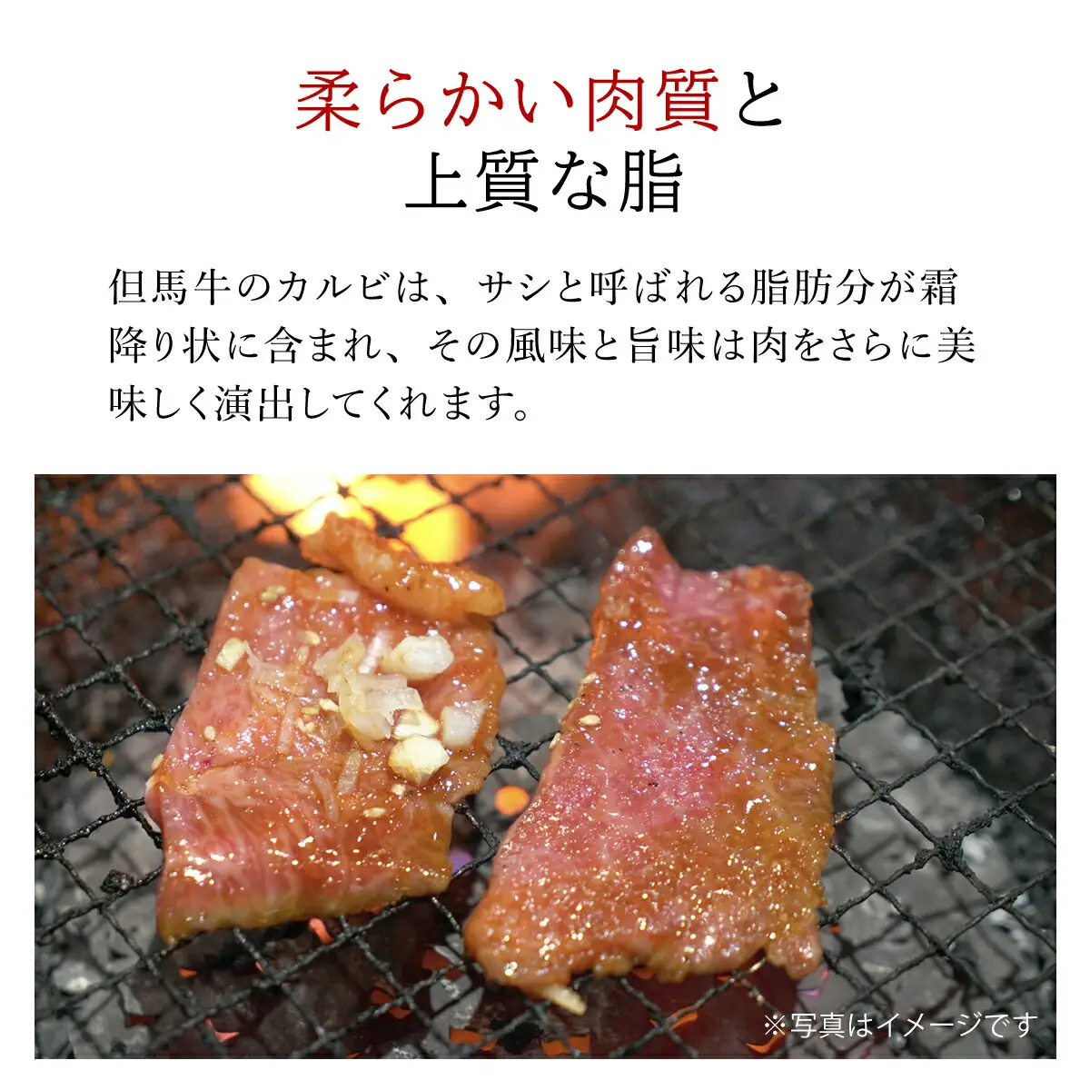 但馬牛カルビ焼肉用【500g】（４～６人前）タレ付（醤油タレ、味噌タレ） AS14E3