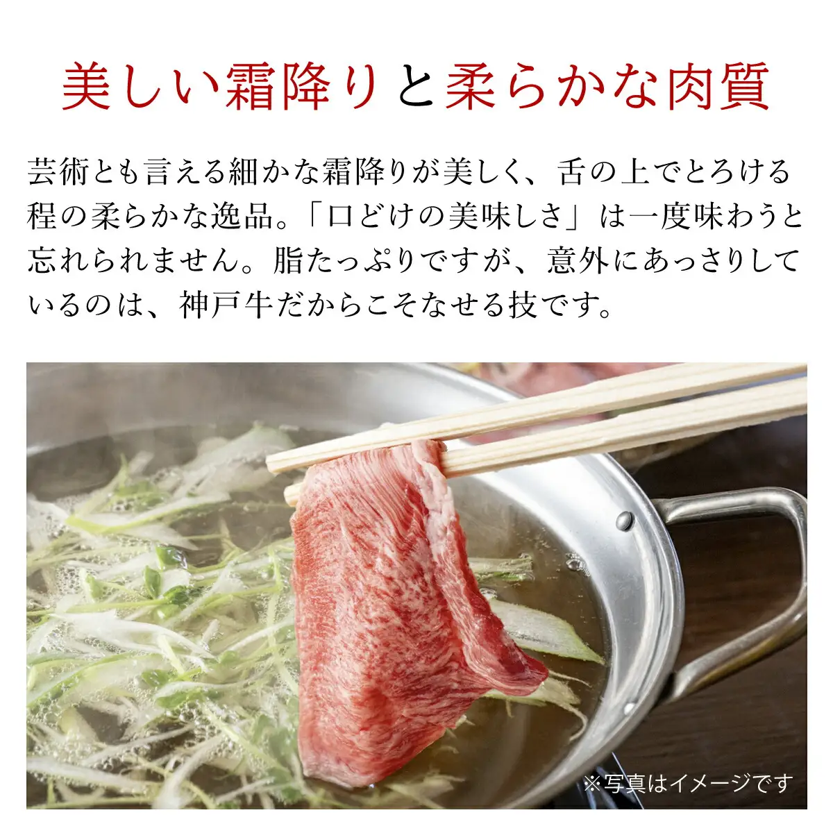 神戸牛しゃぶしゃぶ･すき焼肉 特選肩ロース【500g】タレ付（ぽん酢、胡麻タレ、わりした） AS14G3