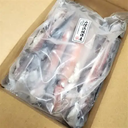 スルメイカ(冷凍)たっぷり約1.5kg　サイズ不揃い　兵庫県新温泉町　【配送不可地域：離島】【1318898】