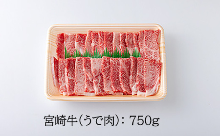 宮崎牛焼肉（うで肉）約750g　TF0569-P00012