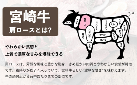 宮崎牛焼肉（肩ロース）約400g　TF0572-P00012