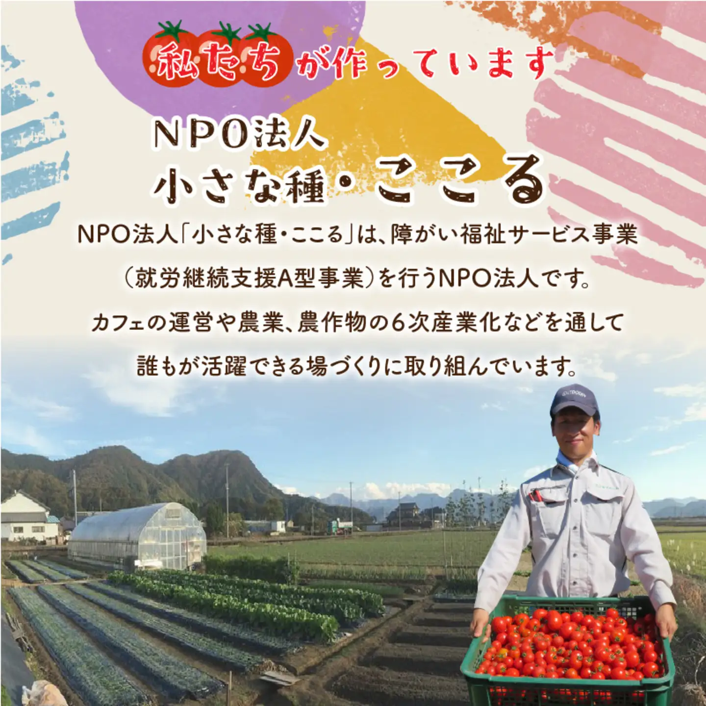 絶品！野菜のコクとうまみ 越のルビー トマト カレー 210g（袋入り）×5袋