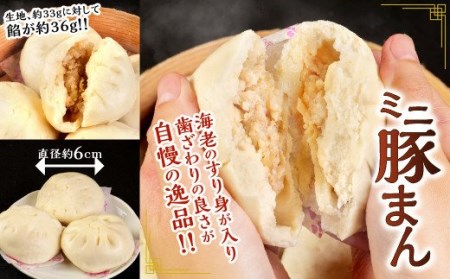 北九州銘品セット(揚子江・鰻天屋)揚子江特製 人気の3品(豚まん×4個、ミニ豚まん×6個、台湾ちまき×2個) ＆九州産 うなぎ 蒲焼 特大2尾 計400g以上