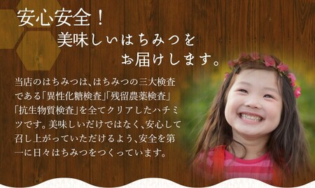 希少ハチミツ 南紀熊野蜜 1kg（1000g瓶×1個） / 古座川流域で採取した日本みつばちのはちみつ 南紀熊野蜜E はちみつ 国産 日本ミツバチ 【tkd204】