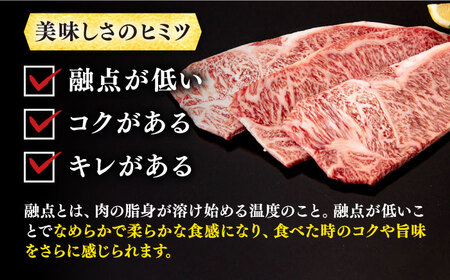 サーロインステーキ 壱岐牛 200g×3枚 [JAA015] サーロインステーキ 黒毛和牛