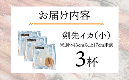 剣先イカ 刺身 （小） 3杯  [JEW002] イカ