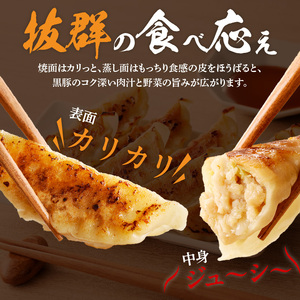 極旨黒豚餃子_極旨黒豚餃子 （23g×20 個）×5 袋 餃子 100個 三桃食品 おべんとうのヒライ 鹿児島県産 黒豚 肉 豚肉 国産 極旨 黒豚餃子 食品 食べ物 おかず おつまみ 水餃子 揚げ餃子 冷凍 簡単調理 カリカリ もっちり 福岡 久留米 お取り寄せ お取り寄せグルメ 送料無料 〔Cx221〕