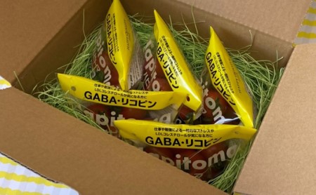【12ヶ月定期便】機能性表示食品 Hapitoma ハピトマ 糖度8（1kg）【配送不可：離島】 野菜 ベジタブル ダブル成分 GABA リコピン ストレス 緩和 LDLコレステロール 低下 
