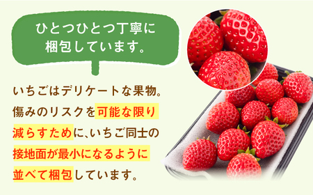 【先行予約】【2027年1月以降発送】【4回定期便】さがほのか＆いちごさん 2種定期便 / いちご [IAA033]