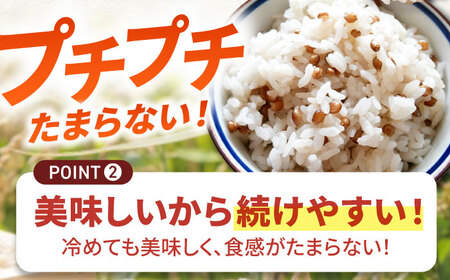 【3回定期便】白石産もち麦900g 計2.7kg / もち麦 [IAA034]