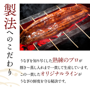 超特大！やわらか国内産うなぎ蒲焼220～250g 3尾　計660g以上|うなぎ 鰻 蒲焼 特大 茨城県 行方市(AD-94-1)