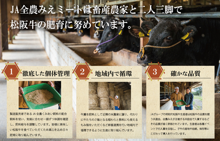三重県産 松阪牛 小間切れ 400ｇ 牛肉 国産 ブランド牛 高級 肉 牛 牛肉 和牛 ブランド牛 高級 国産 霜降り 冷凍 ふるさと 人気 コマ切れ コマ 焼肉 肉じゃが 牛丼 カレー 煮込み 炒め 小間 こま こま切れ MM4