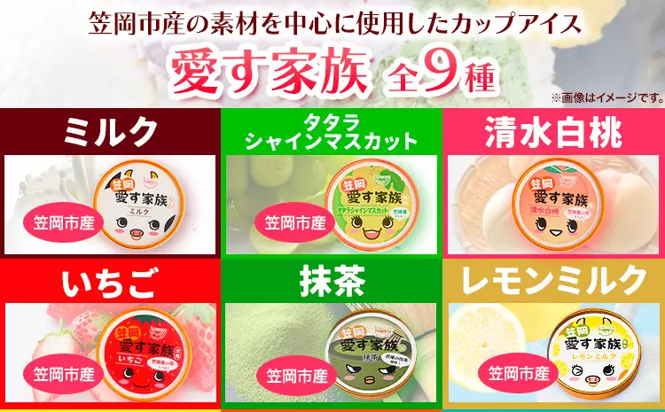 愛す家族 カップアイス 15個入り アイス