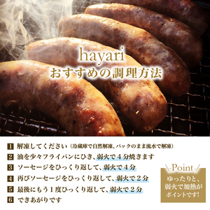 hayariの自然派ソーセージおまかせ５種セット　ソーセージ 食べ比べ 無添加 詰合せ 人気 創作ソーセージ 自然派ソーセージ こだわり サルシッチャ 世界のソーセージ ５種 詰め合わせ hayari 加工肉 15000円以内 オリジナル 素材 贈答 贈り物 ギフト お取り寄せ 送料無料 山梨県 上野原市