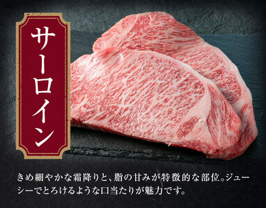 サーロイン ロース ステーキ 合計400g 200g×2枚 ブラックペッパー付 有限会社中田精肉店舗 《45日以内に出荷予定(土日祝除く)》 熊本県 菊池市 サーロイン ロース ステーキ お肉 和牛 黒毛和牛 熊本県産 九州産 国産