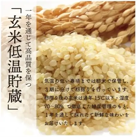 【令和7年産】秋田県特別栽培米ミルキープリンセス無洗米10kg(5kg×2)【配送不可地域：離島・沖縄県】【1319907】