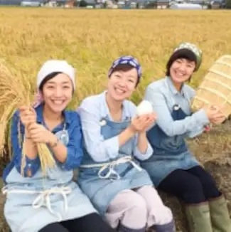 【令和7年産】「米屋のこだわり阿賀野市産」 無洗米コシヒカリ便利な小分け1合×20袋 新潟県 米 こめ コメ 白米 精米 1E07013
