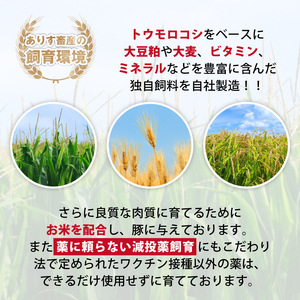国産 四元豚 焼肉 セット 真空パック 総量 1500g 3ヶ月 定期便 ／ ありすぽーく 豚 肉 豚肉 ロース 豚ロース バラ 豚バラ モモ 豚モモ 各 500g ５００ｇ 3種類 ３種類 総量 1.5kg １５００ｇ 3か月 3カ月 3ヵ月 3ケ月 焼き肉 やきにく 真空 真空冷凍 トレー 不使用 家庭用 自宅用 精肉 人気 おすすめ