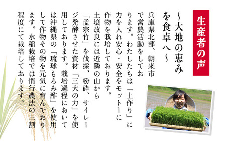 R7年産コシヒカリ 2kg×3袋 自然が育んだ美味しいもろみ米