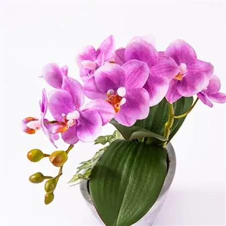 光触媒胡蝶蘭(アーティフィシャルフラワー)1本立て(ピンク)_花・観葉植物 造花・プリザーブドフラワー 花 _【1315295】