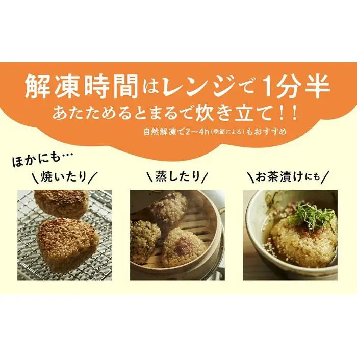 冷凍玄米おにぎり詰め合わせ（10個セット）