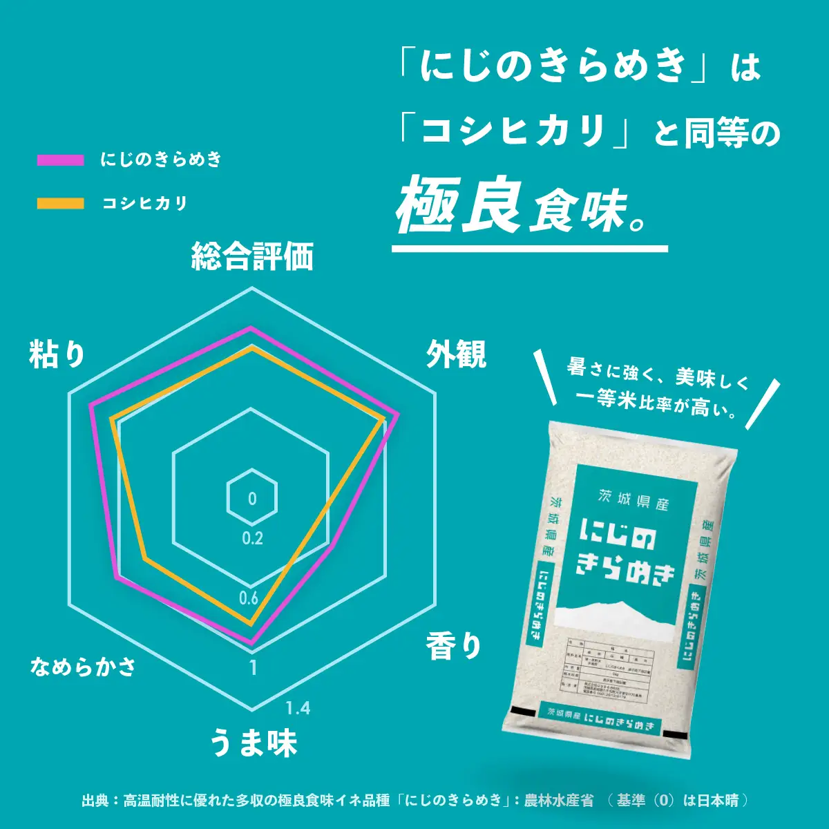 【令和7年産】にじのきらめき 5kg スピード発送 精米 5kg x 1袋 白米 茨城県 八千代町