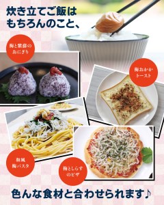 つぶれ梅干し 紀州南高梅 うす塩【ハチミツ入】 500g 塩分10%【nky017-105k】
