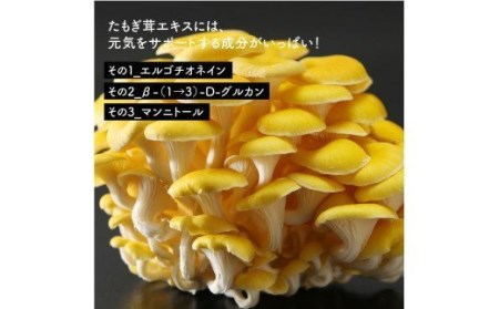 エルゴチオネイン含有 たもぎ茸濃縮エキス バイオゴッド 80cc×10袋入り タモギダケ タモギ茸 エルゴチオネイン 北海道産 国産 NP1-142