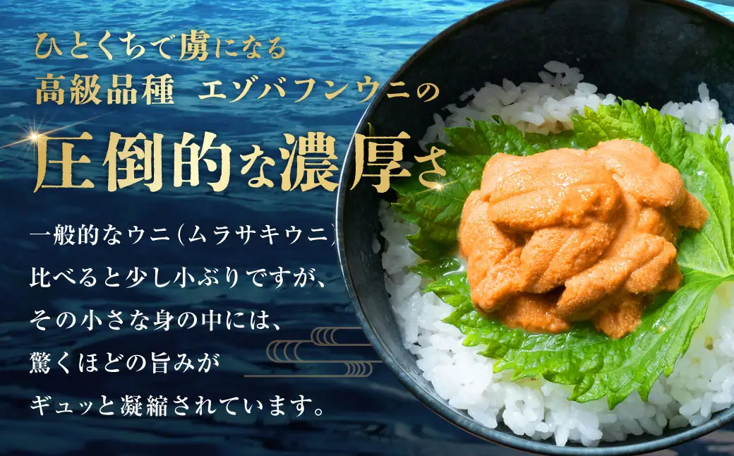 【特選】塩水ウニ 80g（エゾバフンウニ） 【6月中旬(予定)～9月発送不可】 うに 雲丹 ミョウバン不使用 海鮮丼 寿司 冷蔵