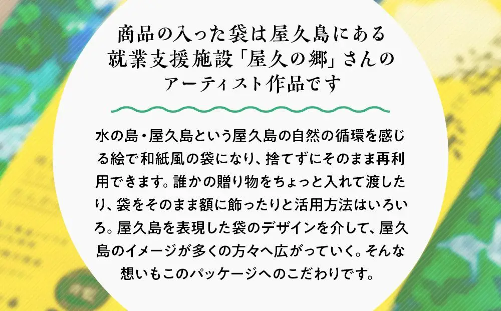 屋久島産トビウオ・たんかん100％！高円寺人気カレー店スパイスカレー青藍監修【屋久島海と森のカレー】3点セット